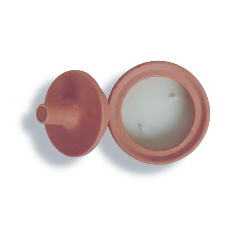 Doro Premium Aromatic Candles to Soothe Your Senses and Submerse Your Surroundings in Pleasant Scents - Honeysuckle (Soy, Double Wick, Burn Time 10 hrs)